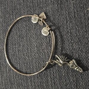 Alex and Ani Bracelet Running